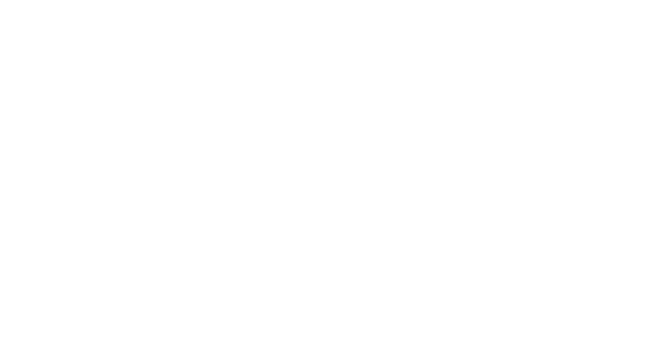 Business for the Arts Broward